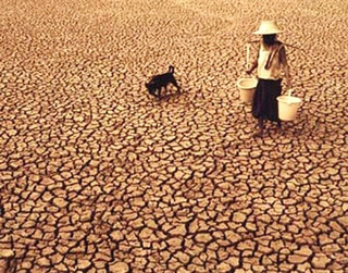 Illustration for article titled 10 Climate Change Pictures We Really Don't Need to See Again